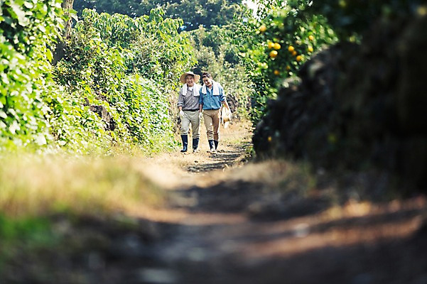포토 JPG 주간 남자 행복 아들 50대 가족 귤 한국 작업복 들기 사람 성인 야외 두명 앞모습 30대 부모 제주도 농장 걷기 농사 다정 기쁨 한국인 자녀 체험 아빠 과수원 즐거움 밀짚모자 귀농 제주감귤 부자지간 성인남자만 국내포토 자연요소 모자_잡화 옷 감정 아시아 뷰포인트 중년 컨셉 농업 과일 관계 모션 동양인 장년 특산물 남자만 성인만 파일형식