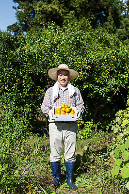 포토 JPG 주간 전신 남자 행복 50대 귤 한국 작업복 한명 서기 미소 들기 사람 성인 야외 앞모습 상자 부모 수건 제주도 농장 농사 기쁨 한국인 수확 자녀 아빠 과수원 즐거움 밀짚모자 귀농 제주감귤 귤나무 남자한명만 성인남자만 성인한명만 성인남자한명만 중년만 중년남자만 중년남자한명만 국내포토 자연요소 나무 모자_잡화 1 옷 감정 아시아 뷰포인트 중년 농업 과일 가족 모션 표정 동양인 위생용품 특산물 남자만 성인만 파일형식