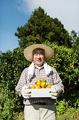 포토 JPG 주간 남자 행복 50대 귤 한국 작업복 한명 서기 미소 들기 사람 상반신 성인 야외 앞모습 상자 부모 제주도 농장 농사 기쁨 한국인 수확 아빠 과수원 즐거움 밀짚모자 귀농 제주감귤 귤나무 목장갑 남자한명만 성인남자만 성인한명만 성인남자한명만 중년만 중년남자만 중년남자한명만 국내포토 자연요소 나무 모자_잡화 1 옷 감정 아시아 뷰포인트 중년 장갑 농업 과일 가족 모션 표정 동양인 특산물 남자만 성인만 파일형식