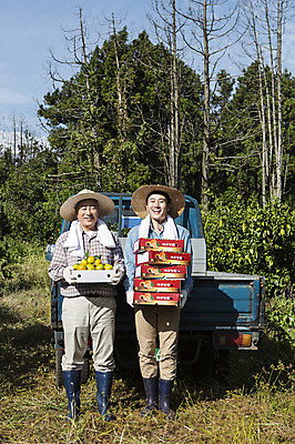 포토 JPG 주간 전신 나무 남자 행복 아들 50대 가족 귤 한국 작업복 서기 미소 들기 사람 성인 야외 두명 앞모습 30대 상자 부모 제주도 농장 농사 기쁨 한국인 트럭 수확 자녀 체험 아빠 과수원 즐거움 밀짚모자 귀농 제주감귤 나란히 부자지간 성인남자만 국내포토 자연요소 식물 모자_잡화 옷 감정 아시아 뷰포인트 중년 컨셉 농업 과일 관계 모션 자동차 표정 동양인 장년 특산물 남자만 성인만 파일형식