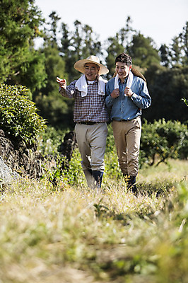 포토 JPG 주간 전신 나무 남자 행복 아들 50대 가족 한국 작업복 미소 사람 성인 야외 두명 앞모습 30대 부모 수건 제주도 농장 걷기 다정 기쁨 한국인 자녀 체험 아빠 즐거움 밀짚모자 귀농 나란히 부자지간 성인남자만 국내포토 자연요소 식물 모자_잡화 옷 감정 아시아 뷰포인트 중년 컨셉 농업 관계 모션 표정 동양인 장년 위생용품 남자만 성인만 파일형식