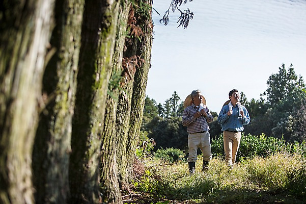 포토 JPG 주간 전신 나무 남자 행복 아들 50대 가족 한국 작업복 사람 성인 야외 두명 앞모습 30대 부모 제주도 농장 걷기 다정 기쁨 한국인 자녀 체험 아빠 즐거움 밀짚모자 귀농 나란히 부자지간 성인남자만 국내포토 자연요소 식물 모자_잡화 옷 감정 아시아 뷰포인트 중년 컨셉 농업 관계 모션 동양인 장년 남자만 성인만 파일형식