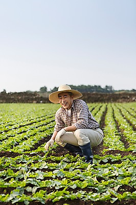 포토 JPG 주간 전신 남자 행복 50대 한국 작업복 한명 미소 사람 앉기 성인 야외 앞모습 부모 제주도 새싹 농사 기쁨 한국인 아빠 무 즐거움 밀짚모자 귀농 무밭 밭농사 남자한명만 성인남자만 성인한명만 성인남자한명만 중년만 중년남자만 중년남자한명만 소상공인 국내포토 자연요소 식물 직업 모자_잡화 1 옷 감정 아시아 뷰포인트 중년 밭 농업 가족 모션 뿌리채소 표정 동양인 경제 상인 남자만 성인만 파일형식