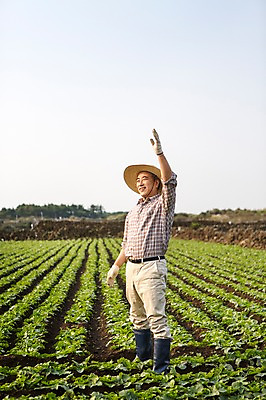 포토 JPG 주간 전신 남자 행복 50대 한국 작업복 한명 서기 사람 손짓 성인 야외 옆모습 부모 제주도 손들기 새싹 농사 기쁨 한국인 아빠 무 즐거움 밀짚모자 귀농 무밭 밭농사 남자한명만 성인남자만 성인한명만 성인남자한명만 중년만 중년남자만 중년남자한명만 소상공인 국내포토 자연요소 식물 직업 모자_잡화 1 옷 감정 아시아 뷰포인트 중년 밭 농업 가족 모션 뿌리채소 동양인 경제 상인 남자만 성인만 파일형식