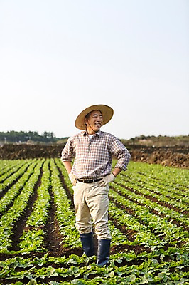 포토 JPG 주간 전신 응시 남자 행복 50대 허리손 한국 작업복 한명 서기 미소 사람 성인 야외 부모 제주도 새싹 농사 기쁨 한국인 아빠 무 즐거움 밀짚모자 귀농 무밭 밭농사 남자한명만 성인남자만 성인한명만 성인남자한명만 중년만 중년남자만 중년남자한명만 소상공인 국내포토 자연요소 식물 직업 모자_잡화 1 시선 옷 감정 아시아 중년 포즈 밭 농업 가족 모션 뿌리채소 표정 동양인 경제 상인 남자만 성인만 파일형식