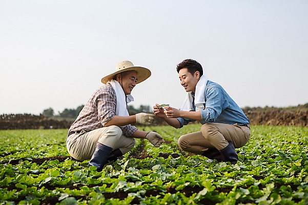 포토 JPG 주간 전신 남자 행복 아들 50대 가족 한국 작업복 사람 앉기 성인 야외 두명 옆모습 30대 부모 수건 제주도 새싹 농사 기쁨 한국인 자녀 체험 아빠 무 즐거움 밀짚모자 귀농 무밭 밭농사 부자지간 성인남자만 소상공인 국내포토 자연요소 식물 직업 모자_잡화 옷 감정 아시아 뷰포인트 중년 컨셉 밭 농업 관계 모션 뿌리채소 동양인 장년 경제 위생용품 상인 남자만 성인만 파일형식