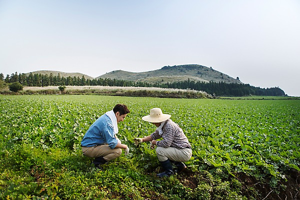 포토 JPG 주간 전신 남자 행복 아들 50대 가족 한국 작업복 사람 앉기 풍경 성인 야외 두명 옆모습 30대 부모 수건 제주도 새싹 농사 기쁨 한국인 자녀 체험 아빠 무 즐거움 밀짚모자 귀농 무밭 밭농사 부자지간 성인남자만 소상공인 국내포토 자연요소 식물 직업 모자_잡화 옷 감정 아시아 뷰포인트 중년 컨셉 밭 농업 관계 모션 뿌리채소 동양인 장년 경제 위생용품 상인 남자만 성인만 파일형식