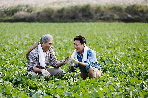 포토 JPG 주간 남자 행복 아들 50대 가족 한국 작업복 미소 사람 앉기 상반신 성인 야외 두명 앞모습 30대 부모 수건 제주도 새싹 농사 기쁨 한국인 자녀 체험 아빠 무 즐거움 밀짚모자 귀농 무밭 밭농사 부자지간 성인남자만 소상공인 국내포토 자연요소 식물 직업 모자_잡화 옷 감정 아시아 뷰포인트 중년 컨셉 밭 농업 관계 모션 뿌리채소 표정 동양인 장년 경제 위생용품 상인 남자만 성인만 파일형식