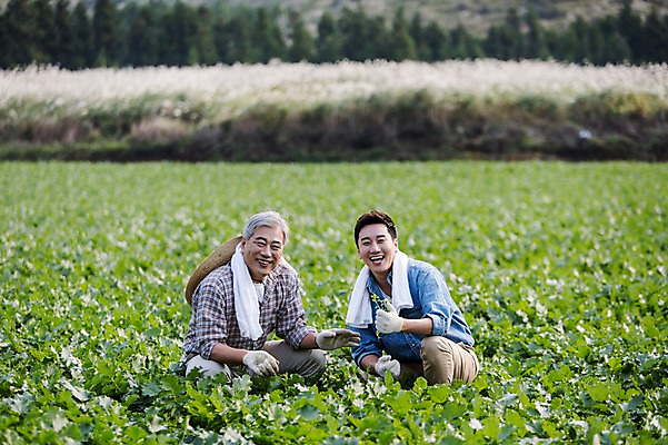포토 JPG 주간 남자 행복 아들 50대 가족 한국 작업복 미소 사람 앉기 손짓 상반신 성인 야외 두명 앞모습 30대 부모 수건 제주도 새싹 농사 기쁨 한국인 자녀 최고 체험 아빠 무 즐거움 밀짚모자 귀농 무밭 밭농사 부자지간 성인남자만 소상공인 국내포토 자연요소 식물 직업 모자_잡화 옷 감정 아시아 뷰포인트 중년 컨셉 밭 농업 관계 모션 뿌리채소 표정 동양인 장년 경제 위생용품 상인 남자만 성인만 파일형식