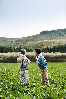 포토 JPG 주간 응시 남자 행복 아들 50대 가족 한국 작업복 서기 사람 상반신 성인 야외 두명 옆모습 30대 부모 수건 제주도 새싹 농사 기쁨 한국인 자녀 가리킴 체험 아빠 무 즐거움 밀짚모자 귀농 무밭 밭농사 부자지간 성인남자만 소상공인 국내포토 자연요소 식물 직업 모자_잡화 시선 옷 감정 아시아 뷰포인트 중년 컨셉 밭 농업 관계 모션 뿌리채소 동양인 손짓 장년 경제 위생용품 상인 남자만 성인만 파일형식