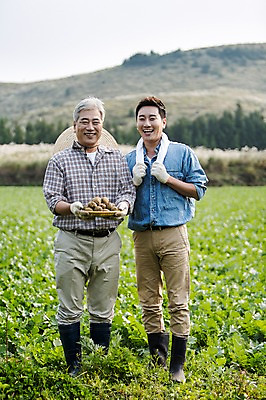 포토 JPG 주간 전신 남자 행복 아들 50대 가족 감자 한국 작업복 서기 미소 들기 사람 성인 야외 두명 앞모습 30대 부모 수건 제주도 바구니 새싹 농사 기쁨 한국인 자녀 체험 아빠 무 즐거움 귀농 무밭 밭농사 부자지간 성인남자만 소상공인 국내포토 자연요소 식물 직업 옷 감정 아시아 뷰포인트 중년 컨셉 밭 농업 채소 관계 모션 뿌리채소 표정 동양인 장년 경제 위생용품 상인 남자만 성인만 파일형식