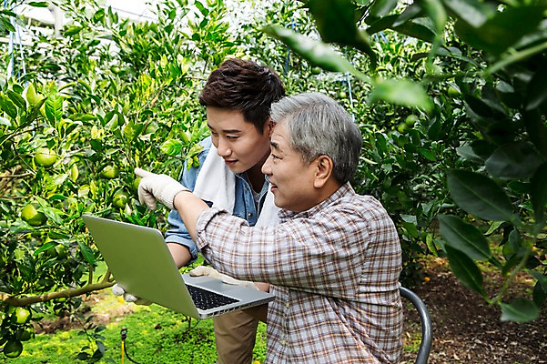 포토 JPG 남자 행복 아들 50대 가족 한국 실내 실험 작업복 서기 들기 사람 앉기 상반신 성인 두명 옆모습 30대 노트북 부모 제주도 농장 농사 기쁨 한국인 자녀 가리킴 기록 아빠 과수원 과일나무 즐거움 귀농 비닐하우스 한라봉 개발 부자지간 성인남자만 국내포토 나무 옷 감정 아시아 뷰포인트 중년 농업 과일 관계 모션 동양인 손짓 내부 장년 전자제품 남자만 성인만 파일형식