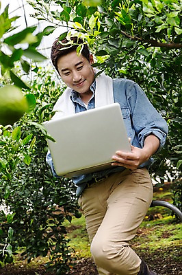 포토 JPG 남자 행복 아들 50대 한국 실내 작업복 한명 미소 들기 사람 상반신 성인 앞모습 30대 노트북 수건 제주도 농장 농사 기쁨 한국인 자녀 기록 과수원 과일나무 즐거움 귀농 비닐하우스 한라봉 개발 남자한명만 성인남자만 일어나기 국내포토 나무 1 옷 감정 아시아 뷰포인트 중년 농업 과일 가족 모션 표정 동양인 내부 장년 전자제품 위생용품 남자만 성인만 파일형식