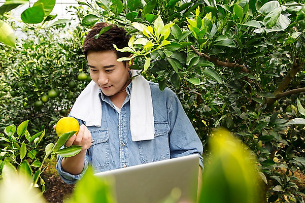 포토 JPG 남자 행복 아들 50대 한국 실내 실험 작업복 한명 서기 들기 사람 상반신 성인 앞모습 30대 노트북 부모 수건 제주도 농장 농사 기쁨 한국인 자녀 기록 과수원 과일나무 즐거움 귀농 비닐하우스 한라봉 개발 남자한명만 성인남자만 국내포토 나무 1 옷 감정 아시아 뷰포인트 중년 농업 과일 가족 모션 동양인 내부 장년 전자제품 위생용품 남자만 성인만 파일형식