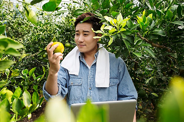 포토 JPG 남자 행복 아들 50대 한국 실내 실험 작업복 한명 서기 들기 사람 상반신 성인 앞모습 30대 노트북 부모 수건 제주도 농장 농사 기쁨 한국인 자녀 기록 과수원 과일나무 즐거움 귀농 비닐하우스 한라봉 개발 남자한명만 성인남자만 국내포토 나무 1 옷 감정 아시아 뷰포인트 중년 농업 과일 가족 모션 동양인 내부 장년 전자제품 위생용품 남자만 성인만 파일형식