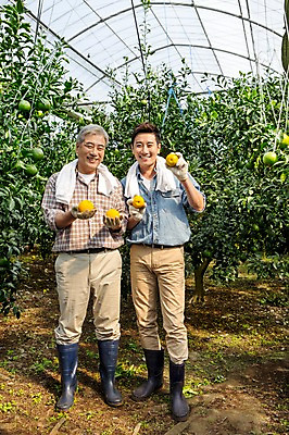 포토 JPG 전신 남자 행복 아들 50대 가족 한국 실내 작업복 서기 미소 들기 사람 성인 두명 앞모습 30대 부모 제주도 농장 농사 기쁨 한국인 수확 자녀 체험 아빠 과수원 과일나무 즐거움 귀농 비닐하우스 한라봉 부자지간 성인남자만 국내포토 나무 옷 감정 아시아 뷰포인트 중년 컨셉 농업 과일 관계 모션 표정 동양인 내부 장년 남자만 성인만 파일형식