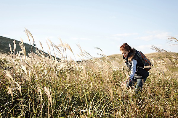 포토 JPG 주간 여자 여유 여행 배낭 휴식 한국 숙이기 한명 서기 사람 상반신 20대 성인 야외 옆모습 제주도 등산 트래킹 한국인 자유 풀 상쾌 억새 오름 성인여자한명만 국내포토 자연요소 식물 1 감정 아시아 뷰포인트 포즈 컨셉 가방 모션 레저 동양인 청년 여자한명만 성인여자만 파일형식