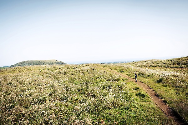 포토 JPG 주간 전신 여자 여유 여행 휴식 한국 한명 서기 사람 풍경 20대 성인 야외 제주도 등산 트래킹 한국인 자유 상쾌 억새 오름 성인여자한명만 국내포토 자연요소 식물 1 감정 아시아 컨셉 모션 레저 동양인 청년 여자한명만 성인여자만 파일형식
