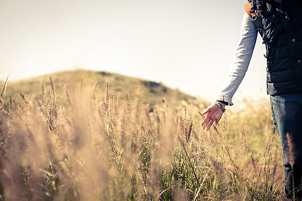 포토 JPG 주간 여자 여유 여행 휴식 한국 한명 서기 사람 20대 성인 야외 앞모습 제주도 등산 트래킹 만지기 한국인 자유 하반신 상쾌 억새 오름 성인여자한명만 국내포토 자연요소 식물 1 감정 아시아 뷰포인트 컨셉 모션 레저 동양인 청년 여자한명만 성인여자만 파일형식