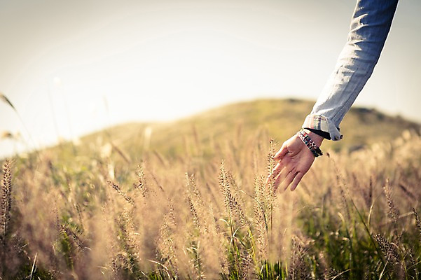 포토 JPG 주간 여자 여유 여행 휴식 한국 한명 사람 풍경 20대 성인 야외 앞모습 제주도 등산 트래킹 만지기 한국인 자유 상쾌 억새 오름 팔 안식처 성인여자한명만 국내포토 자연요소 식물 1 감정 아시아 뷰포인트 컨셉 모션 레저 동양인 청년 신체부위 여자한명만 성인여자만 파일형식