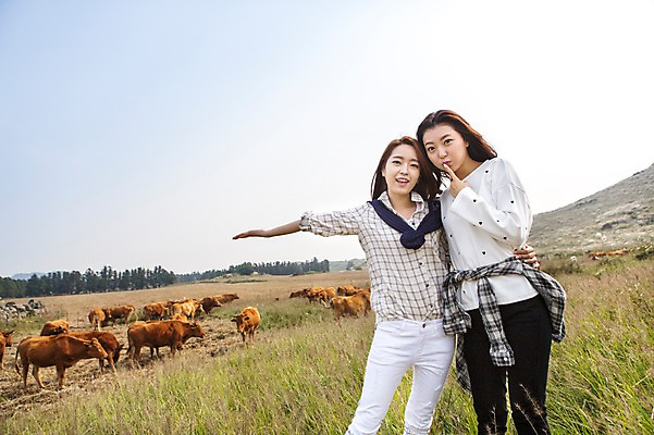 포토 JPG 주간 계절 여자 여유 여행 한국 서기 미소 사람 손짓 상반신 20대 성인 야외 두명 앞모습 친구 청춘 제주도 트래킹 한국인 자유 가을 풀 소 상쾌 오름 힐링 손뻗기 성인여자만 국내포토 자연요소 식물 감정 아시아 뷰포인트 컨셉 포유류 관계 모션 레저 표정 동양인 청년 여자만 성인만 파일형식