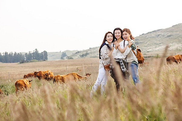 포토 JPG 주간 전신 계절 여자 여유 여행 안기 한국 서기 미소 사람 20대 성인 야외 앞모습 세명 친구 청춘 제주도 트래킹 한국인 자유 가을 소 상쾌 억새 오름 힐링 성인여자만 국내포토 자연요소 식물 감정 아시아 뷰포인트 컨셉 포유류 관계 모션 레저 표정 동양인 청년 여자만 성인만 파일형식