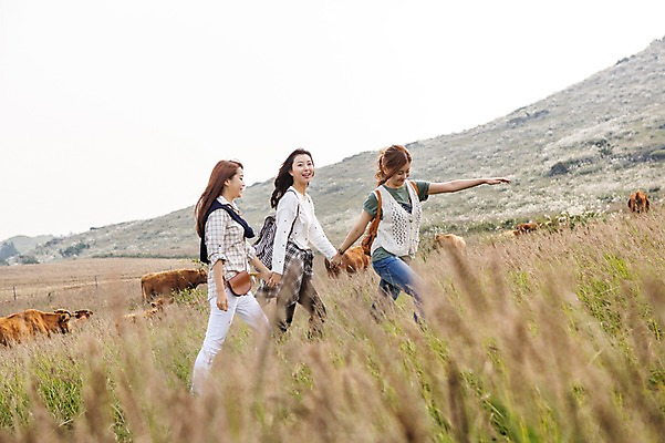 포토 JPG 주간 계절 여자 여유 여행 한국 미소 사람 손짓 상반신 20대 성인 야외 옆모습 세명 친구 청춘 제주도 걷기 손잡기 트래킹 한국인 자유 가을 소 상쾌 억새 오름 힐링 손뻗기 성인여자만 국내포토 자연요소 식물 감정 아시아 뷰포인트 컨셉 포유류 관계 모션 레저 표정 동양인 청년 여자만 성인만 파일형식