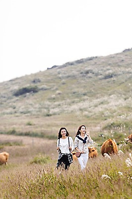 포토 JPG 주간 계절 여자 여유 여행 한국 미소 사람 상반신 20대 성인 야외 두명 앞모습 친구 청춘 제주도 걷기 트래킹 한국인 자유 가을 소 상쾌 억새 오름 힐링 성인여자만 국내포토 자연요소 식물 감정 아시아 뷰포인트 컨셉 포유류 관계 모션 레저 표정 동양인 청년 여자만 성인만 파일형식