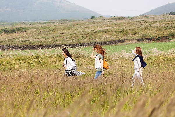 포토 JPG 주간 계절 여자 여유 여행 한국 사람 상반신 20대 성인 야외 옆모습 세명 친구 청춘 제주도 걷기 트래킹 한국인 자유 가을 상쾌 억새 오름 힐링 성인여자만 국내포토 자연요소 식물 감정 아시아 뷰포인트 컨셉 관계 모션 레저 동양인 청년 여자만 성인만 파일형식