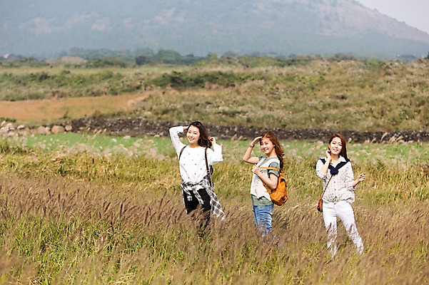 포토 JPG 주간 계절 여자 여유 여행 한국 사람 손짓 상반신 20대 성인 야외 앞모습 세명 친구 청춘 제주도 걷기 트래킹 한국인 자유 가을 상쾌 억새 오름 힐링 성인여자만 국내포토 자연요소 식물 감정 아시아 뷰포인트 컨셉 관계 모션 레저 동양인 청년 여자만 성인만 파일형식