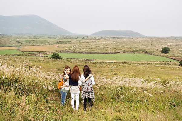 포토 JPG 주간 전신 계절 여자 여유 여행 한국 서기 사람 풍경 20대 성인 야외 뒷모습 세명 친구 청춘 제주도 트래킹 한국인 자유 가을 뒤돌아보기 구경 상쾌 억새 오름 힐링 성인여자만 국내포토 자연요소 식물 감정 아시아 뷰포인트 컨셉 관계 모션 레저 동양인 청년 여자만 성인만 파일형식