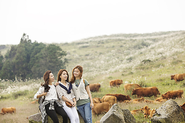 포토 JPG 주간 계절 여자 여유 여행 휴식 한국 서기 미소 사람 상반신 20대 성인 야외 앞모습 세명 친구 청춘 제주도 트래킹 한국인 자유 가을 돌_바위 바위 소 상쾌 오름 힐링 성인여자만 국내포토 자연요소 감정 아시아 뷰포인트 컨셉 포유류 관계 모션 레저 표정 동양인 청년 여자만 성인만 파일형식