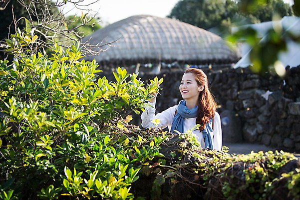 포토 JPG 주간 나무 여자 여유 여행 휴식 나뭇잎 한국 돌담 한명 서기 미소 사람 상반신 20대 성인 야외 앞모습 제주도 만지기 한국인 성읍민속촌 성인여자한명만 국내포토 자연요소 식물 1 감정 아시아 뷰포인트 컨셉 잎 모션 표정 동양인 청년 담장 돌_바위 민속촌 여자한명만 성인여자만 파일형식