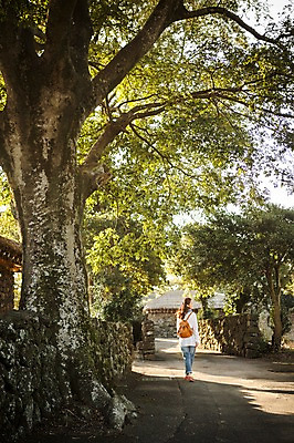 포토 JPG 주간 전신 나무 여자 여유 여행 가방 휴식 한국 돌담 한명 사람 20대 성인 야외 뒷모습 제주도 걷기 한국인 성읍민속촌 성인여자한명만 국내포토 자연요소 식물 1 잡화 감정 아시아 뷰포인트 컨셉 모션 동양인 청년 담장 돌_바위 민속촌 여자한명만 성인여자만 파일형식