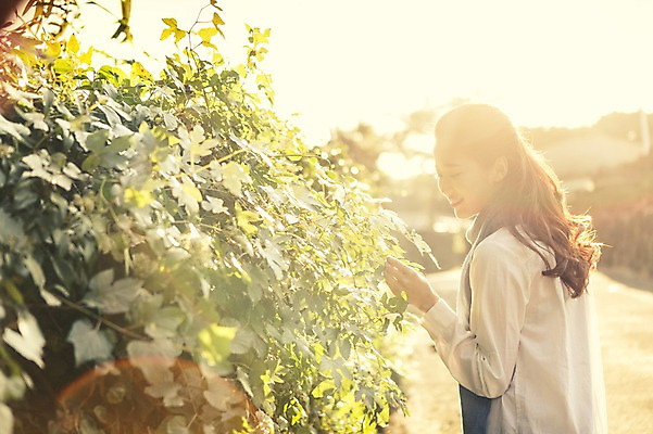 포토 JPG 주간 나무 여자 여유 여행 휴식 나뭇잎 한국 한명 서기 사람 상반신 20대 성인 야외 옆모습 햇빛 제주도 만지기 한국인 성읍민속촌 성인여자한명만 국내포토 자연요소 식물 1 감정 아시아 뷰포인트 컨셉 잎 모션 동양인 청년 태양 민속촌 여자한명만 성인여자만 파일형식