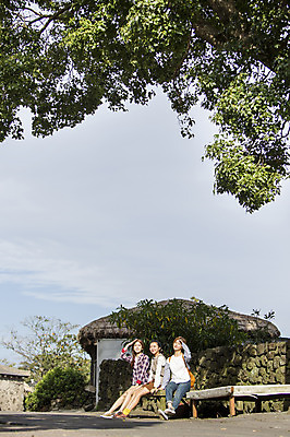 포토 JPG 주간 전신 나무 여자 여유 여행 고건축 하늘 휴식 한국 사람 앉기 20대 성인 야외 앞모습 세명 친구 청춘 제주도 한국인 힐링 성읍민속촌 성인여자만 국내포토 자연요소 식물 건축물 감정 아시아 뷰포인트 컨셉 관계 모션 동양인 청년 민속촌 여자만 성인만 파일형식