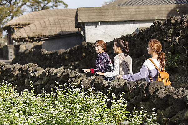 포토 JPG 주간 여자 여유 여행 고건축 한국 돌담 사람 상반신 20대 성인 야외 옆모습 세명 친구 청춘 제주도 걷기 한국인 구경 힐링 성읍민속촌 메밀밭 성인여자만 국내포토 자연요소 건축물 감정 아시아 뷰포인트 컨셉 밭 관계 모션 동양인 청년 담장 돌_바위 민속촌 여자만 성인만 파일형식