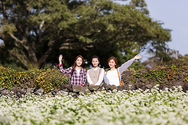 포토 JPG 주간 나무 여자 여유 여행 한국 서기 사람 손짓 상반신 20대 성인 야외 앞모습 세명 친구 청춘 제주도 손들기 한국인 인사 힐링 성읍민속촌 메밀밭 성인여자만 국내포토 자연요소 식물 감정 아시아 뷰포인트 컨셉 밭 관계 모션 동양인 청년 예절 민속촌 여자만 성인만 파일형식