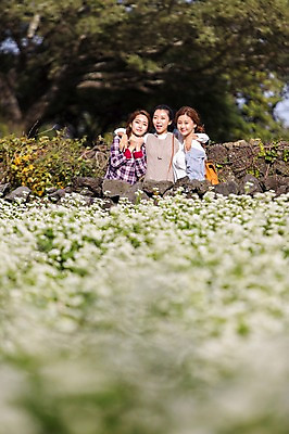 포토 JPG 주간 여자 여유 여행 어깨동무 한국 서기 사람 상반신 20대 성인 야외 앞모습 세명 친구 청춘 제주도 한국인 힐링 성읍민속촌 메밀밭 성인여자만 국내포토 자연요소 감정 아시아 뷰포인트 포즈 컨셉 밭 관계 모션 동양인 청년 민속촌 여자만 성인만 파일형식