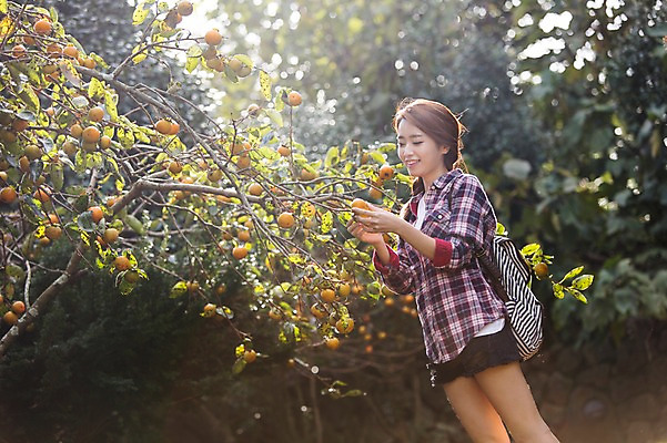 포토 JPG 주간 여자 여유 여행 고건축 한국 한명 서기 미소 사람 상반신 20대 성인 야외 옆모습 제주도 한국인 감나무 힐링 성읍민속촌 성인여자한명만 성인만 국내포토 자연요소 나무 1 건축물 감정 아시아 뷰포인트 모션 표정 감 동양인 청년 민속촌 여자한명만 성인여자만 파일형식
