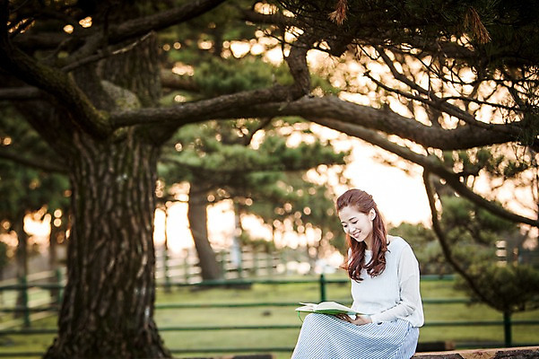 포토 JPG 주간 나무 여자 여유 여행 벤치 휴식 한국 한명 들기 사람 앉기 상반신 20대 성인 야외 옆모습 책 독서 제주도 한국인 자유 상쾌 성인여자한명만 성인만 국내포토 자연요소 식물 1 감정 아시아 뷰포인트 컨셉 의자 모션 동양인 청년 여자한명만 성인여자만 파일형식