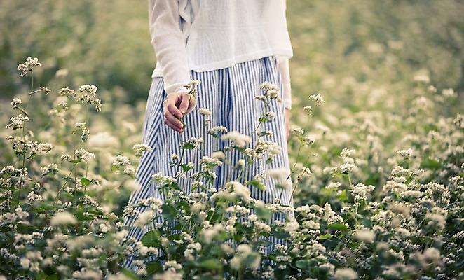 포토 JPG 주간 여자 여유 여행 휴식 한국 한명 서기 사람 20대 성인 야외 앞모습 제주도 만지기 한국인 자유 하반신 상쾌 메밀꽃 메밀밭 성인여자한명만 성인만 국내포토 자연요소 1 꽃 감정 아시아 뷰포인트 컨셉 밭 모션 동양인 청년 여자한명만 성인여자만 파일형식