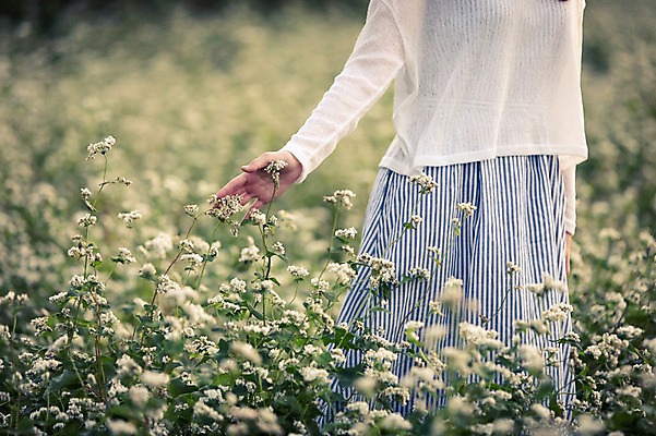 포토 JPG 주간 여자 여유 여행 휴식 한국 한명 서기 사람 20대 성인 야외 앞모습 제주도 만지기 한국인 자유 하반신 상쾌 메밀꽃 메밀밭 안식처 성인여자한명만 성인만 국내포토 자연요소 1 꽃 감정 아시아 뷰포인트 컨셉 밭 모션 동양인 청년 여자한명만 성인여자만 파일형식