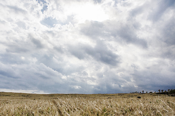 포토 JPG 주간 구름 여행 하늘 한국 풍경 초원 사람없음 야외 제주도 국내포토 자연요소 아시아 파일형식