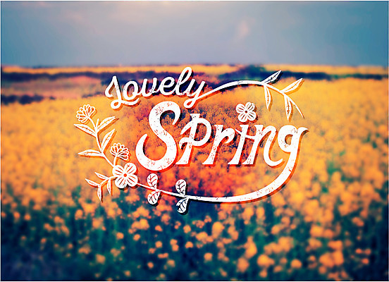 주간 식물 편집이미지 꽃 백그라운드 꽃밭 포토일러 풍경 사람없음 야외 라벨 봄 빈티지 이미지편집 AI파일 자연요소 계절 컨셉 프레임 파일형식 벡터