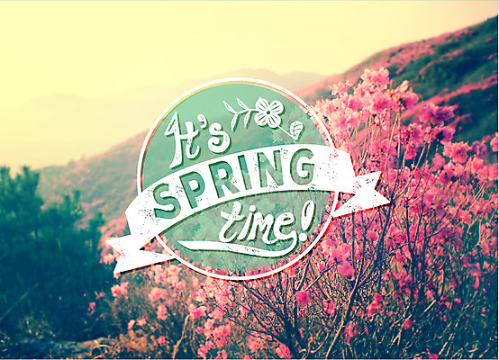 주간 식물 편집이미지 꽃 백그라운드 자연 포토일러 하늘 풍경 이벤트 사람없음 야외 라벨 봄 빈티지 이미지편집 AI파일 자연요소 계절 컨셉 프레임 생태계 파일형식 벡터