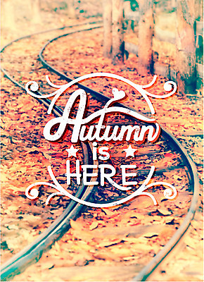 주간 편집이미지 백그라운드 낙엽 포토일러 풍경 사람없음 야외 라벨 기찻길 가을 빈티지 철도의날 이미지편집 AI파일 자연요소 계절 컨셉 잎 프레임 파일형식 벡터 법정기념일