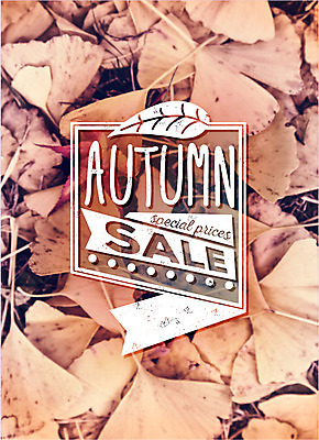 편집이미지 백그라운드 낙엽 포토일러 풍경 사람없음 쇼핑 라벨 세일 가을 빈티지 이미지편집 AI파일 계절 컨셉 잎 프레임 파일형식 벡터