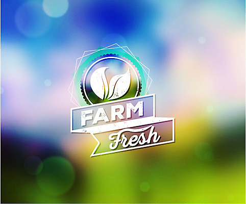 편집이미지 백그라운드 잎 포토일러 사람없음 농장 라벨 신선 소프트포커스 에코 보케 흐림 이미지편집 AI파일 식물 농업 날씨 프레임 촬영기법 환경 파일형식 벡터