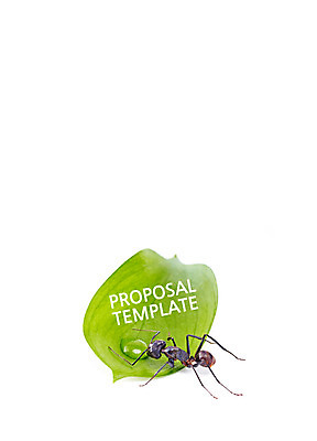 템플릿 표지 곤충 텍스트 나뭇잎 사람없음 물방울 프레젠테이션 문서템플릿 서식 레이아웃 문서 제안서 개미 이미지템플릿 AI파일 동물 잎 파일형식 벡터